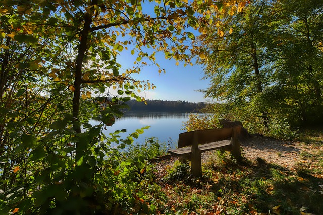 球队外线火力强到爆表